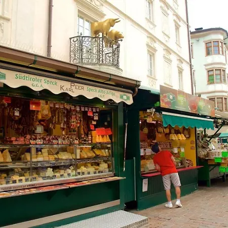 Vanga * Bolzano